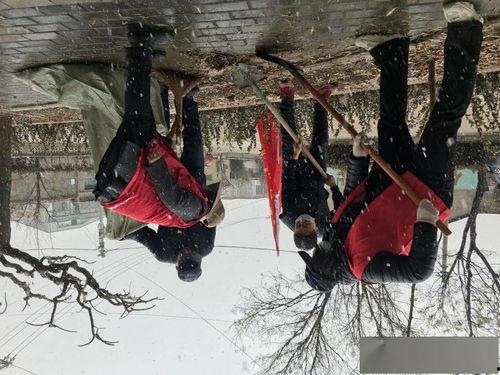 红色之雪免费观看,免费观影，重温革命岁月的壮丽篇章