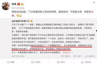 明星啪网址是什么,网络迷雾中的真相探寻