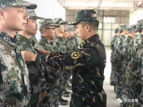 新军训皮肤爆料视频下载