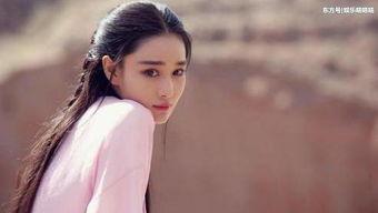 重生明星演员,明星演员的璀璨蜕变之路