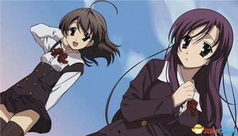 日本黄色动漫黑猫,探寻日本黄色动漫中的神秘魅力