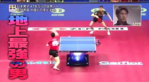 日本乒乓球中二介绍,独特魅力与争议并存